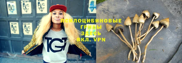 прущая мука Алексеевка