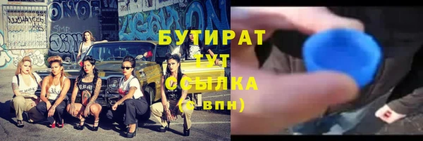 индика Новодвинск