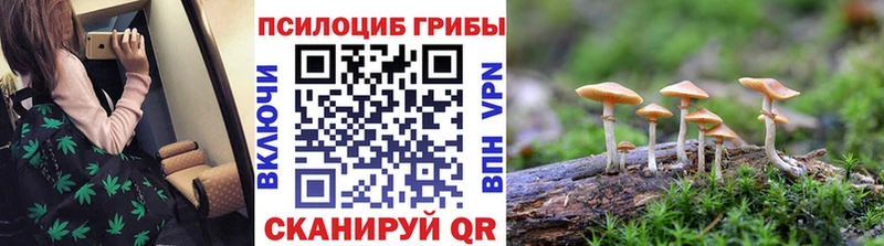 Галлюциногенные грибы MAGIC MUSHROOMS  Одинцово 